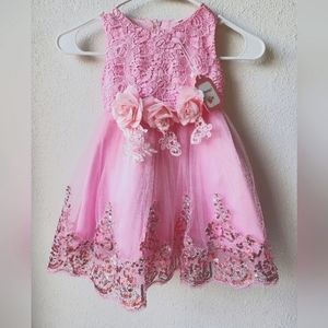 Beautiful pink embroided fashion dress